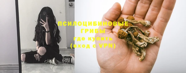 MESCALINE Богданович